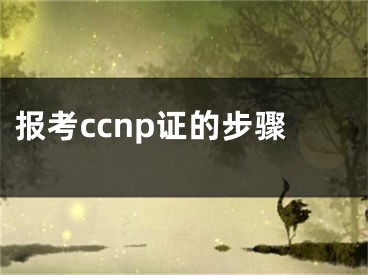 报考ccnp证的步骤