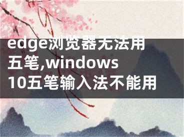 edge浏览器无法用五笔,windows10五笔输入法不能用