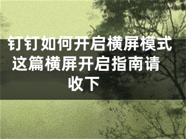 钉钉如何开启横屏模式 这篇横屏开启指南请收下  