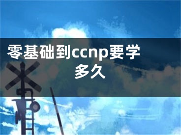 零基础到ccnp要学多久