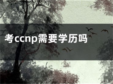 考ccnp需要学历吗