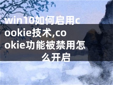 win10如何启用cookie技术,cookie功能被禁用怎么开启