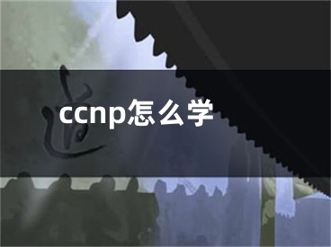 ccnp怎么学