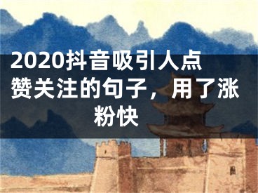 2020抖音吸引人点赞关注的句子，用了涨粉快 