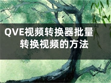 QVE视频转换器批量转换视频的方法