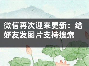 微信再次迎来更新：给好友发图片支持搜索 