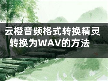 云橙音频格式转换精灵转换为WAV的方法