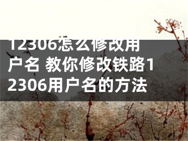 12306怎么修改用户名 教你修改铁路12306用户名的方法