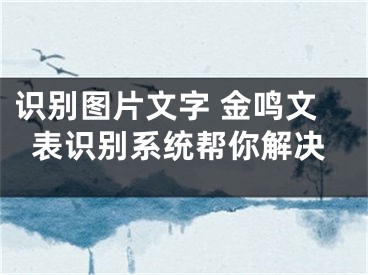 识别图片文字 金鸣文表识别系统帮你解决