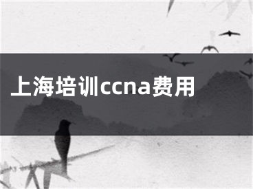 上海培训ccna费用