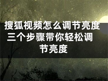 搜狐视频怎么调节亮度 三个步骤带你轻松调节亮度