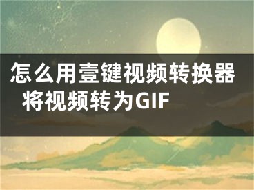 怎么用壹键视频转换器将视频转为GIF 