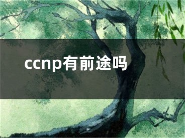 ccnp有前途吗