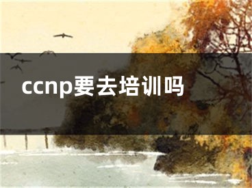 ccnp要去培训吗