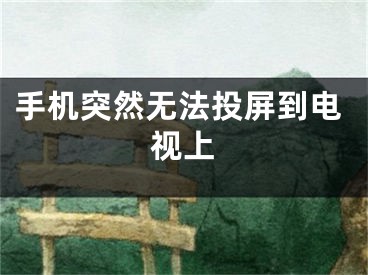 手机突然无法投屏到电视上