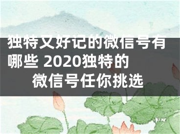 独特又好记的微信号有哪些 2020独特的微信号任你挑选