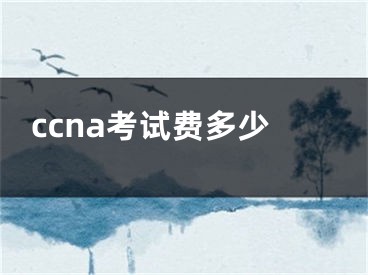 ccna考试费多少