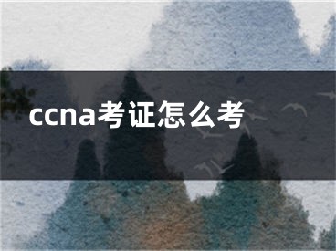 ccna考证怎么考