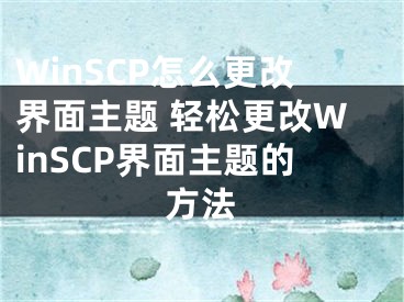 WinSCP怎么更改界面主题 轻松更改WinSCP界面主题的方法