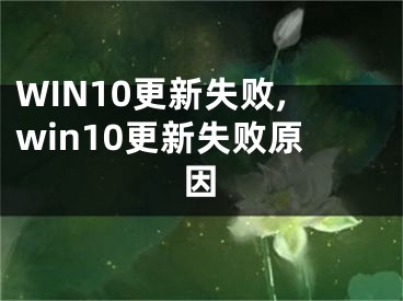 WIN10更新失败,win10更新失败原因