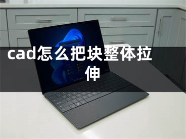 cad怎么把块整体拉伸