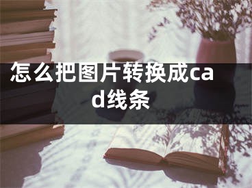 怎么把图片转换成cad线条