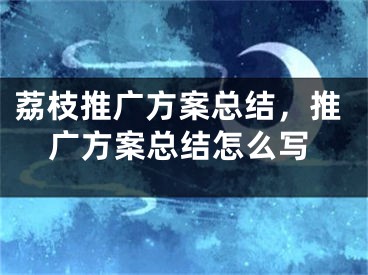 荔枝推广方案总结，推广方案总结怎么写