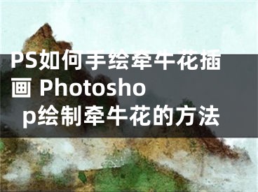 PS如何手绘牵牛花插画 Photoshop绘制牵牛花的方法