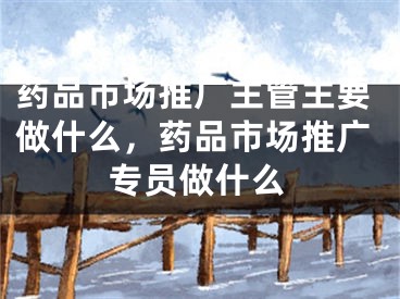 药品市场推广主管主要做什么，药品市场推广专员做什么