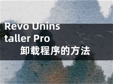 Revo Uninstaller Pro卸载程序的方法