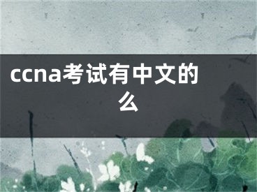 ccna考试有中文的么