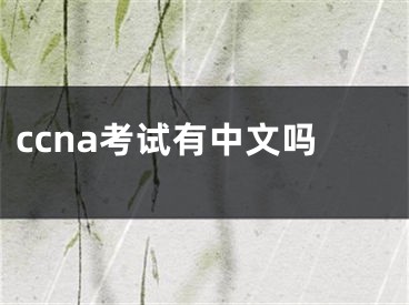 ccna考试有中文吗