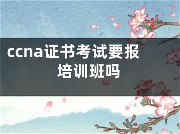 ccna证书考试要报培训班吗