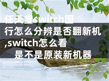 任天堂switch国行怎么分辨是否翻新机,switch怎么看是不是原装新机器