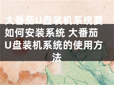 大番茄U盘装机系统要如何安装系统 大番茄U盘装机系统的使用方法