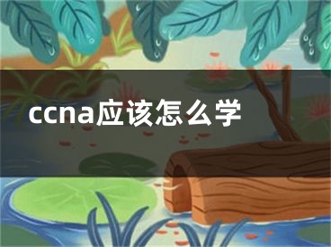 ccna应该怎么学