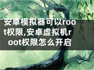 安卓模拟器可以root权限,安卓虚拟机root权限怎么开启