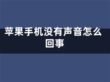 苹果手机没有声音怎么回事