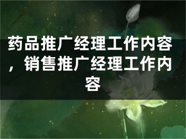 药品推广经理工作内容，销售推广经理工作内容