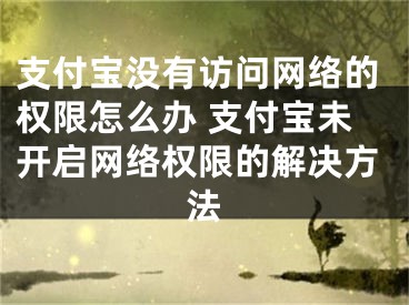 支付宝没有访问网络的权限怎么办 支付宝未开启网络权限的解决方法