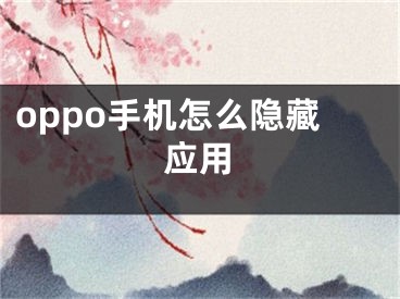 oppo手机怎么隐藏应用