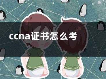 ccna证书怎么考