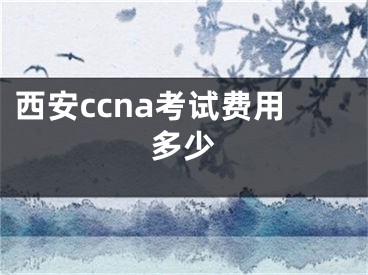 西安ccna考试费用多少