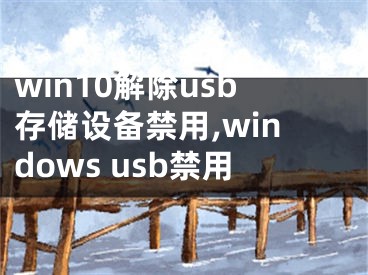win10解除usb存储设备禁用,windows usb禁用