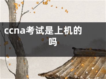 ccna考试是上机的吗