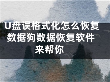 U盘误格式化怎么恢复 数据狗数据恢复软件来帮你 