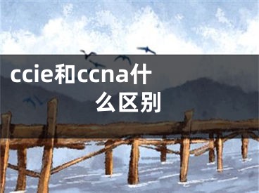 ccie和ccna什么区别 