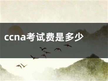 ccna考试费是多少