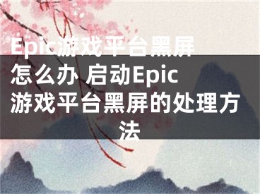 Epic游戏平台黑屏怎么办 启动Epic游戏平台黑屏的处理方法