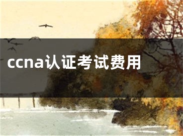 ccna认证考试费用